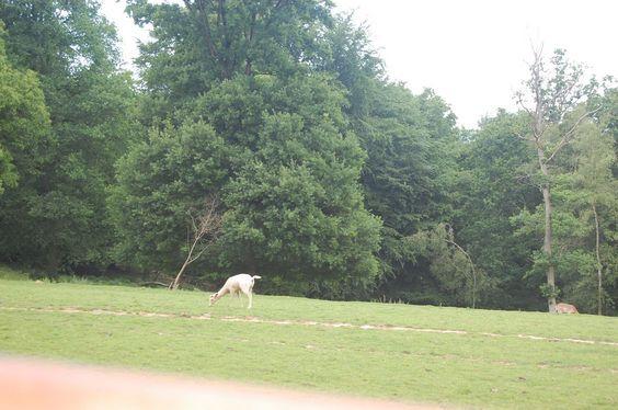 DSC_0095 [50%] [50%].JPG